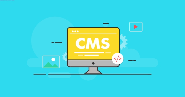 What Makes an Omnichannel CMS Needed?